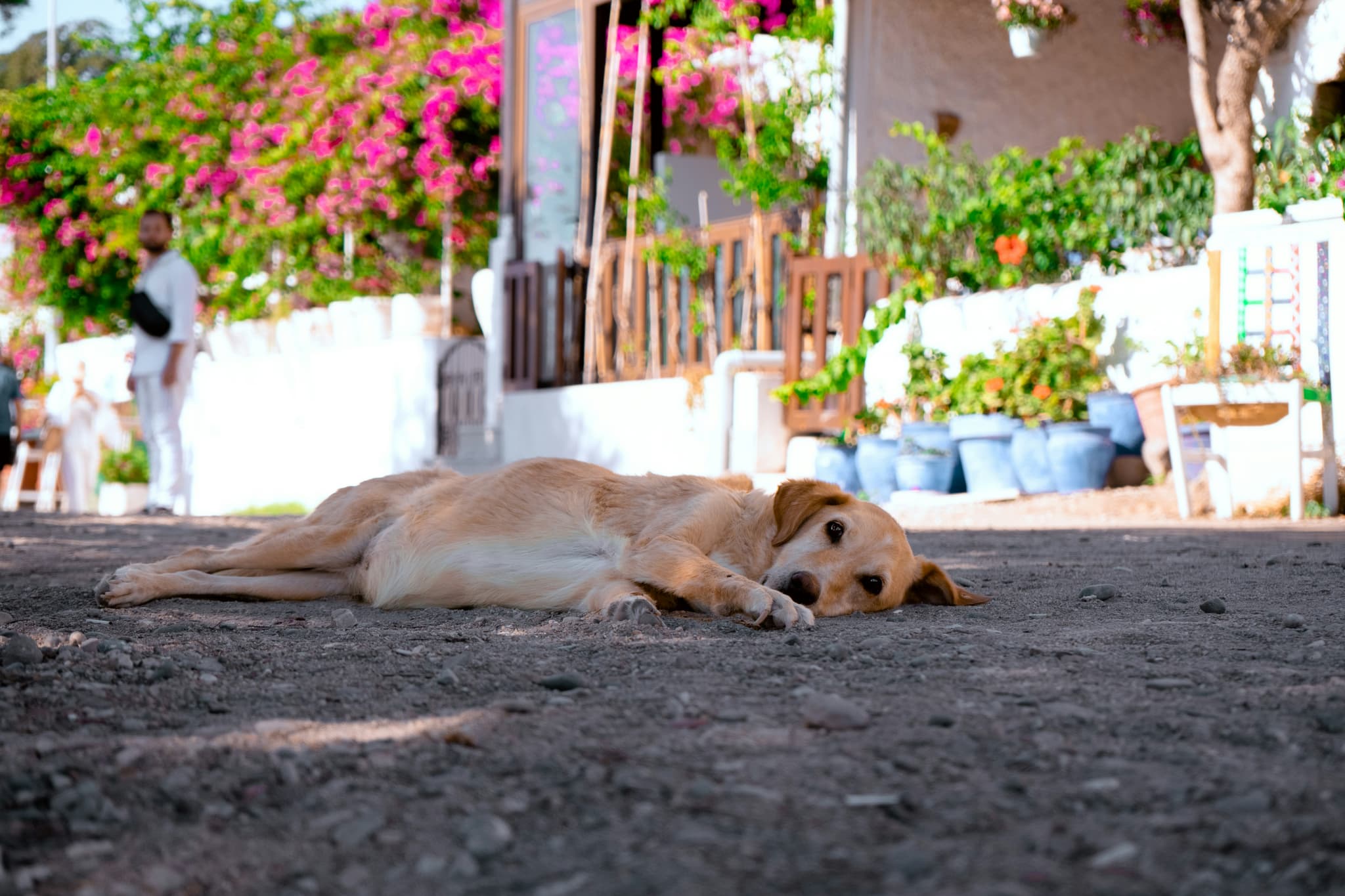 Heat in the office: 10 tips for a productive summer