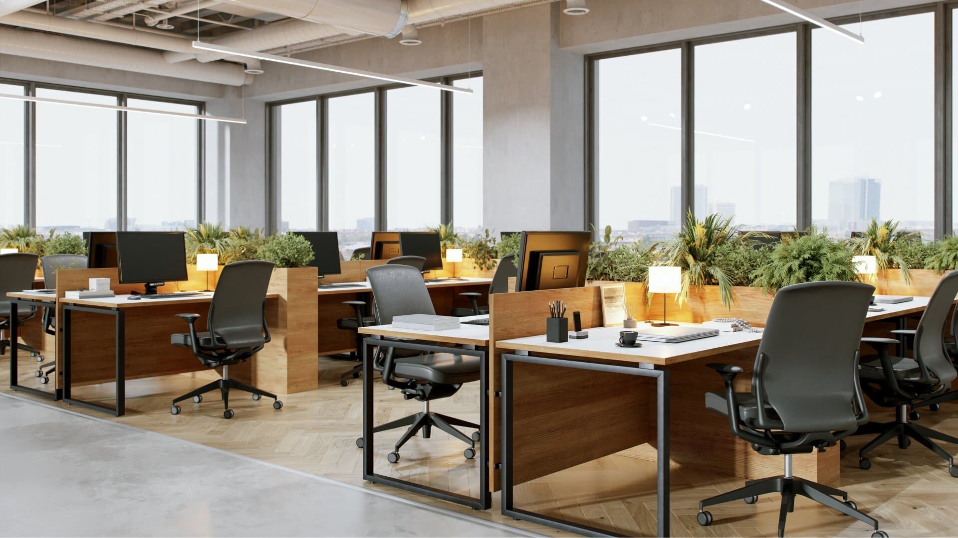 office at workspace A81
