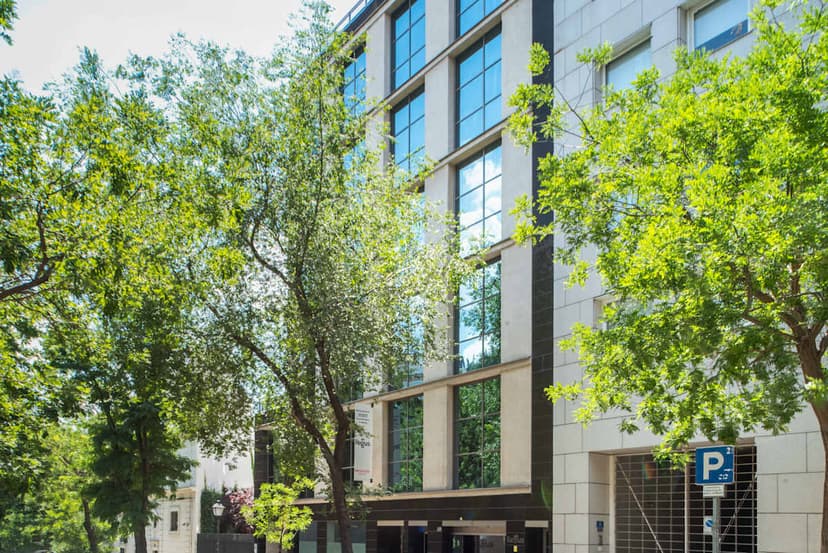 Office at Calle del Pinar 3